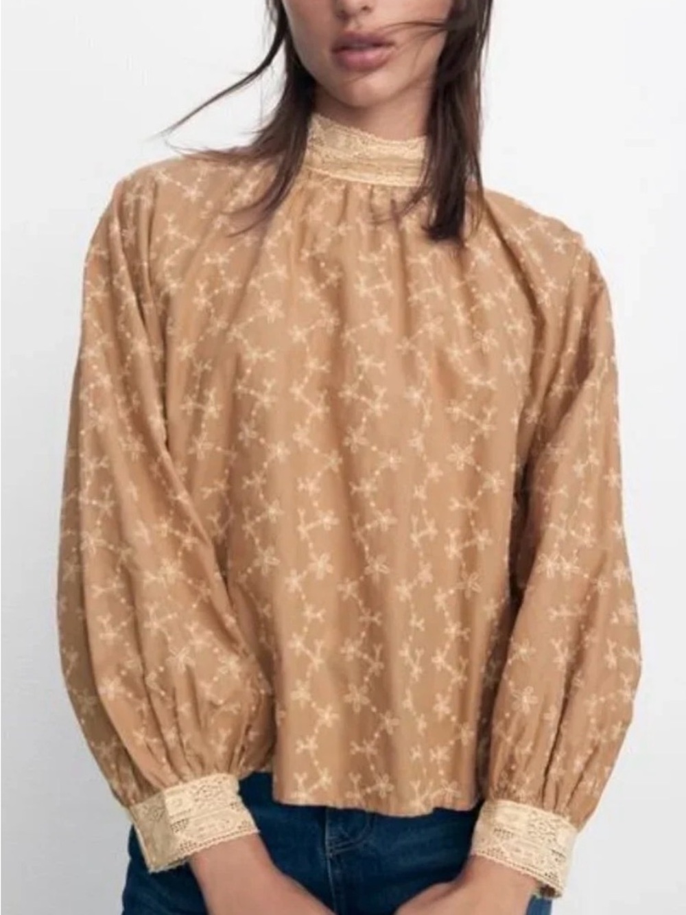 Zara Tan Lace-Trim High Neck Blouse